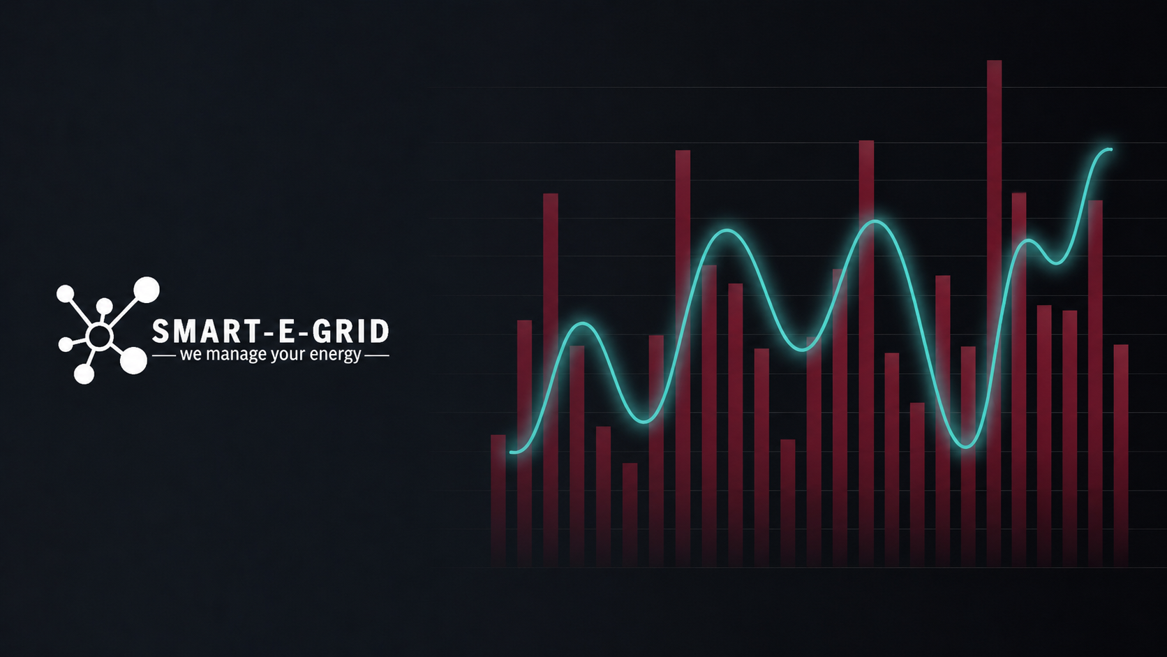 Smart-E-Grid sturing voor bedrijven